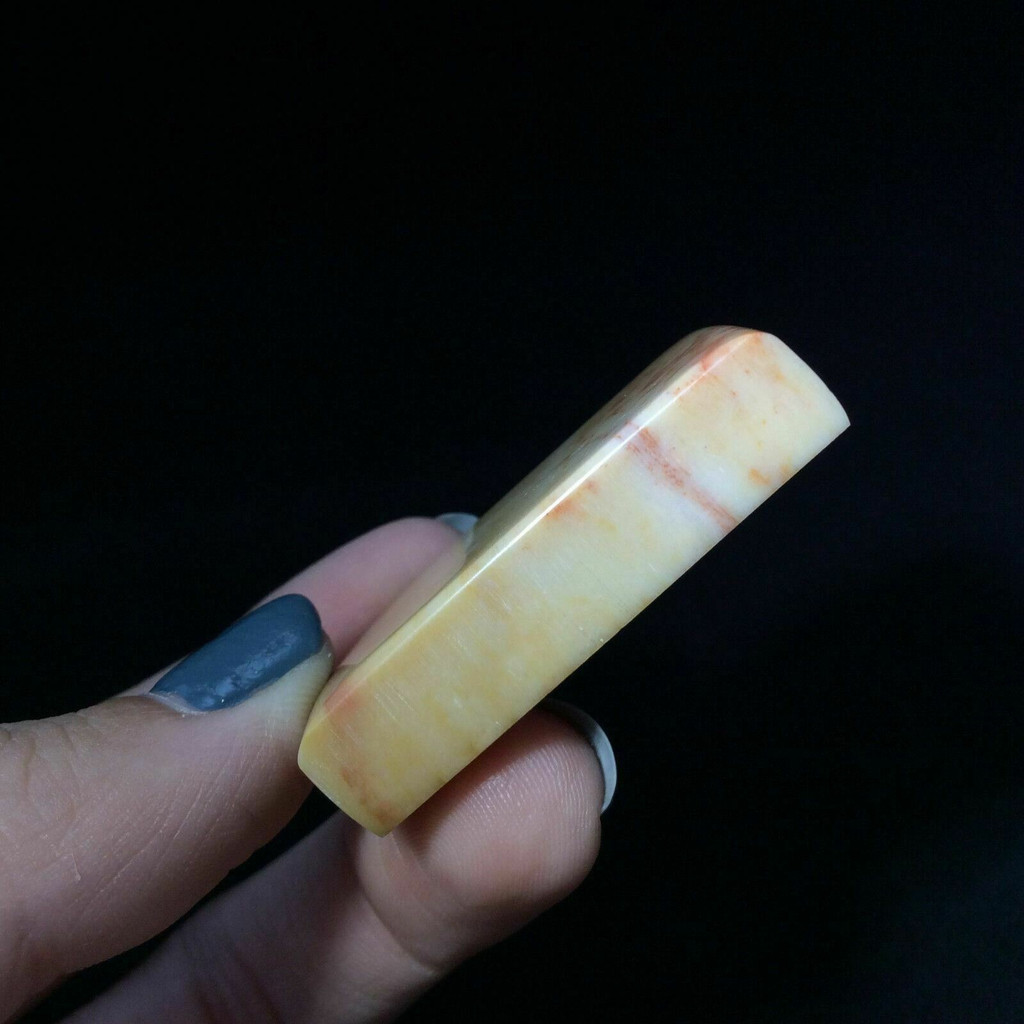Rectangular Agatized Fossil Coral Cabochon 170804 Red Yellow Gemstone Jewelry 