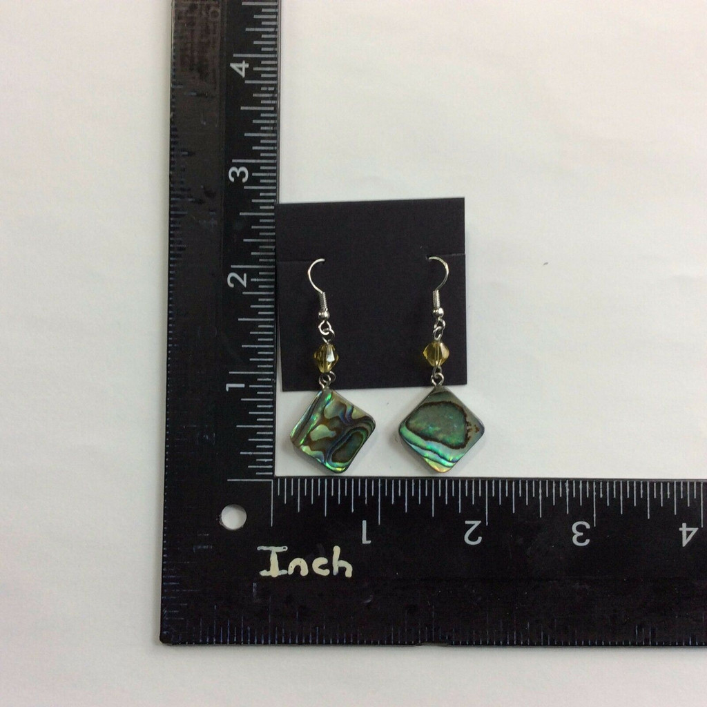 Beautiful Abalone Shell Earrings 170905 Metaphysical Spiritual Healing