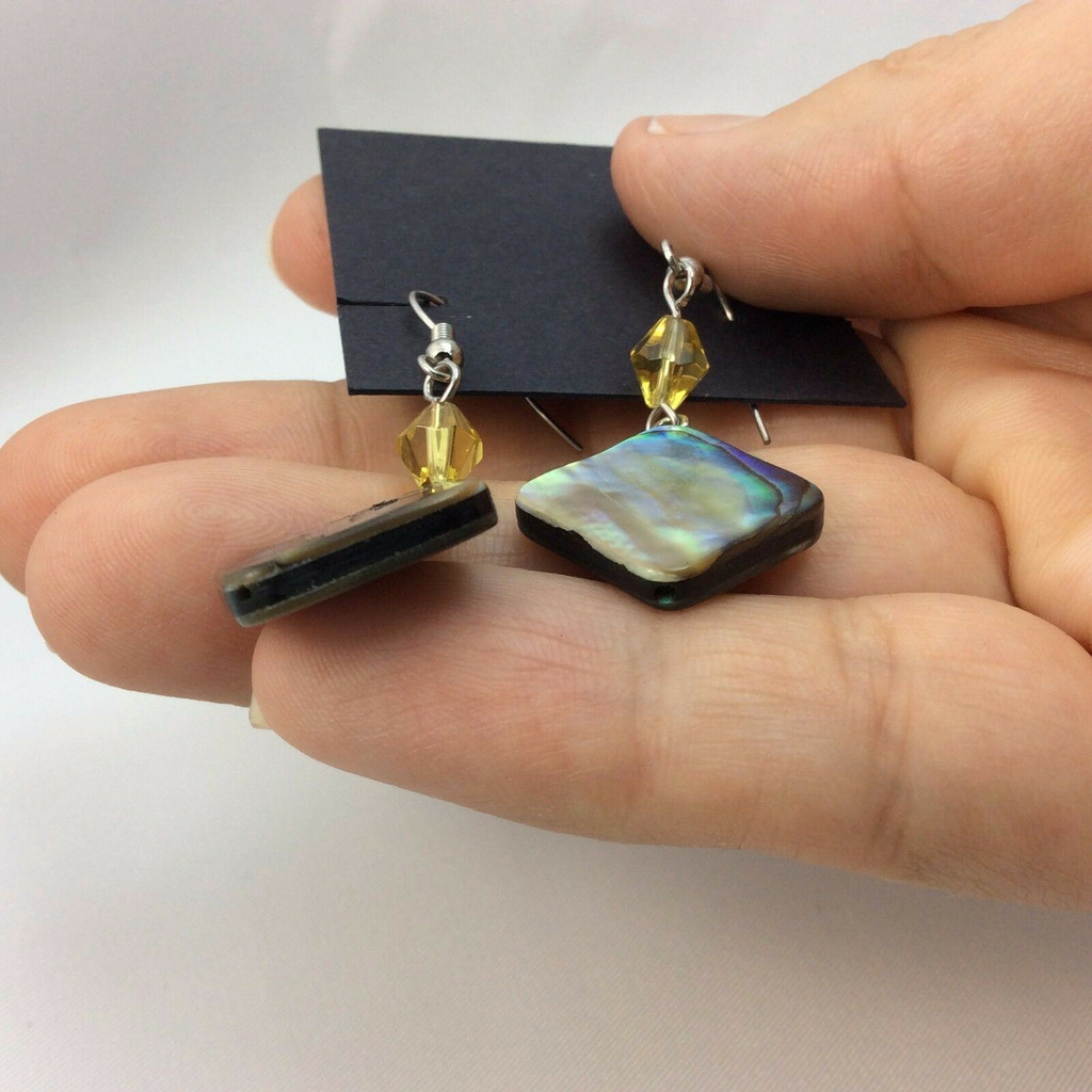 Beautiful Abalone Shell Earrings 170905 Metaphysical Spiritual Healing