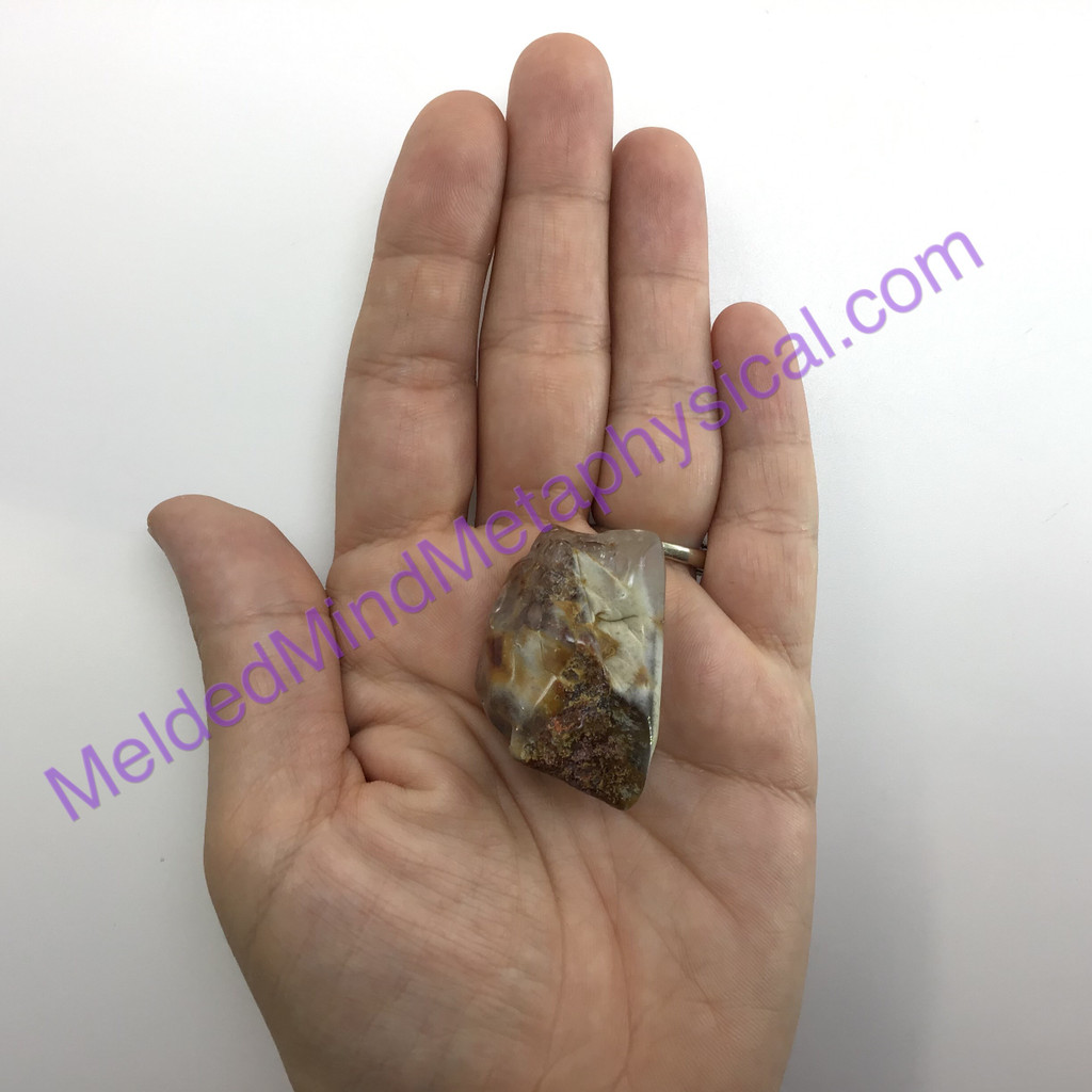 MeldeMind255 Amphibole Quartz Angel Phantom Crystal Specimen