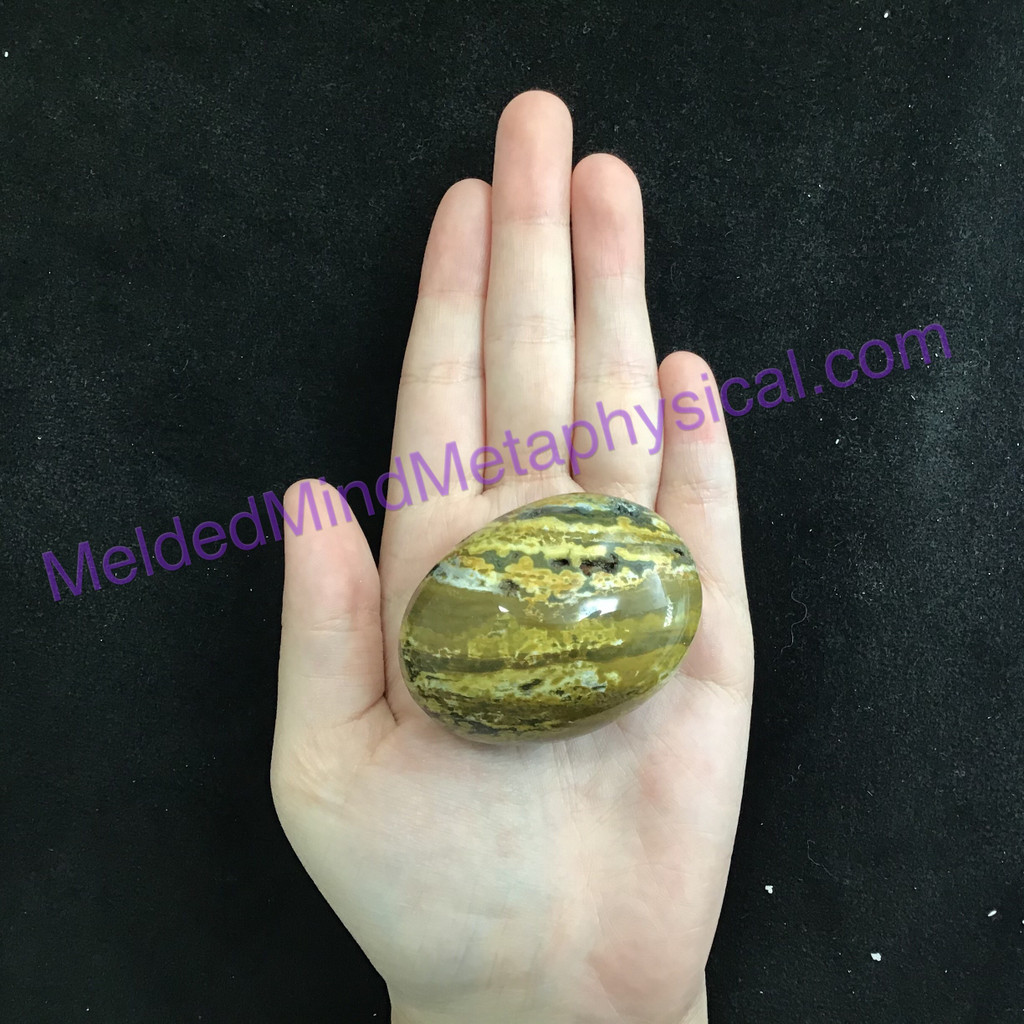 MeldedMind201 Ocean Jasper Palm Worry Smooth Mini Massage Stone 54mm Holistic En