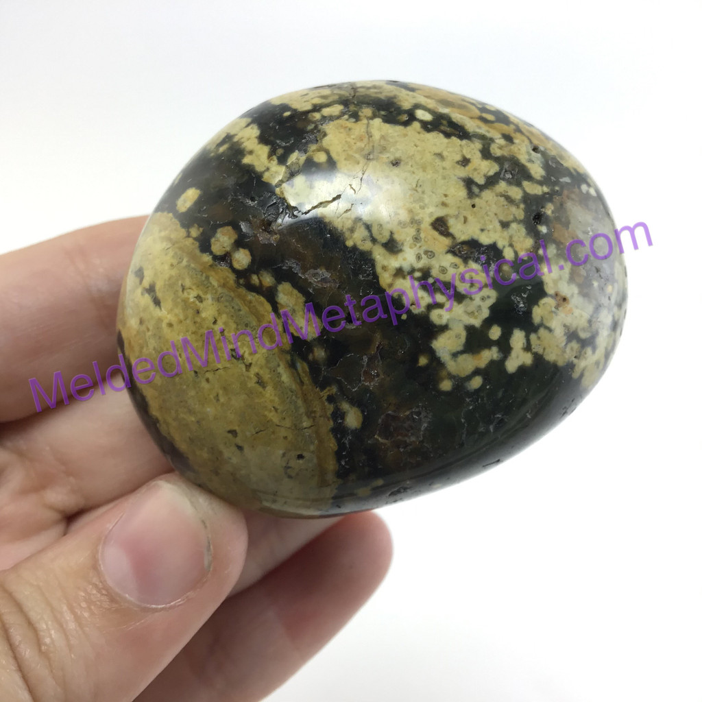 MeldedMind202 Ocean Jasper Palm Worry Smooth Mini Massage Stone 53mm Holistic En