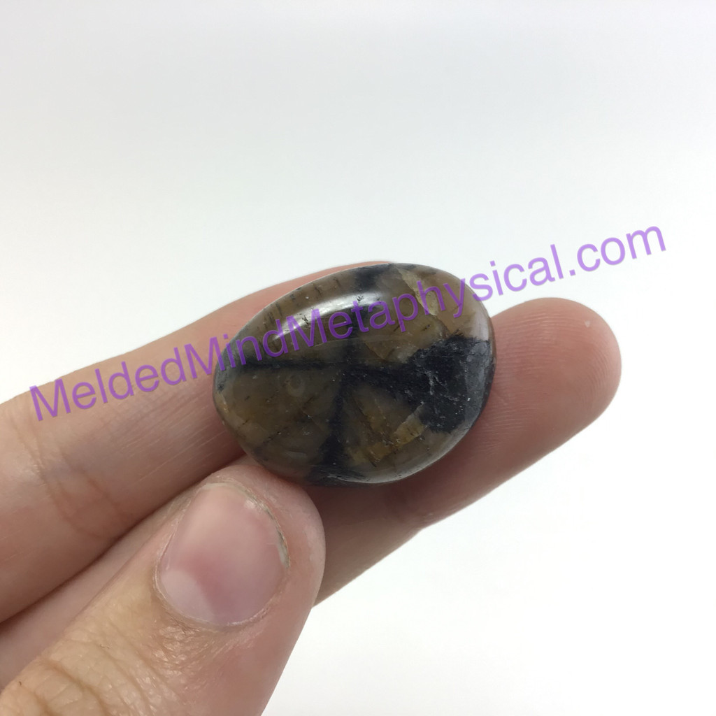 MeldedMind152 Chiastolite Pocket Stone 23mm Tumbled Specimen Metaphysical