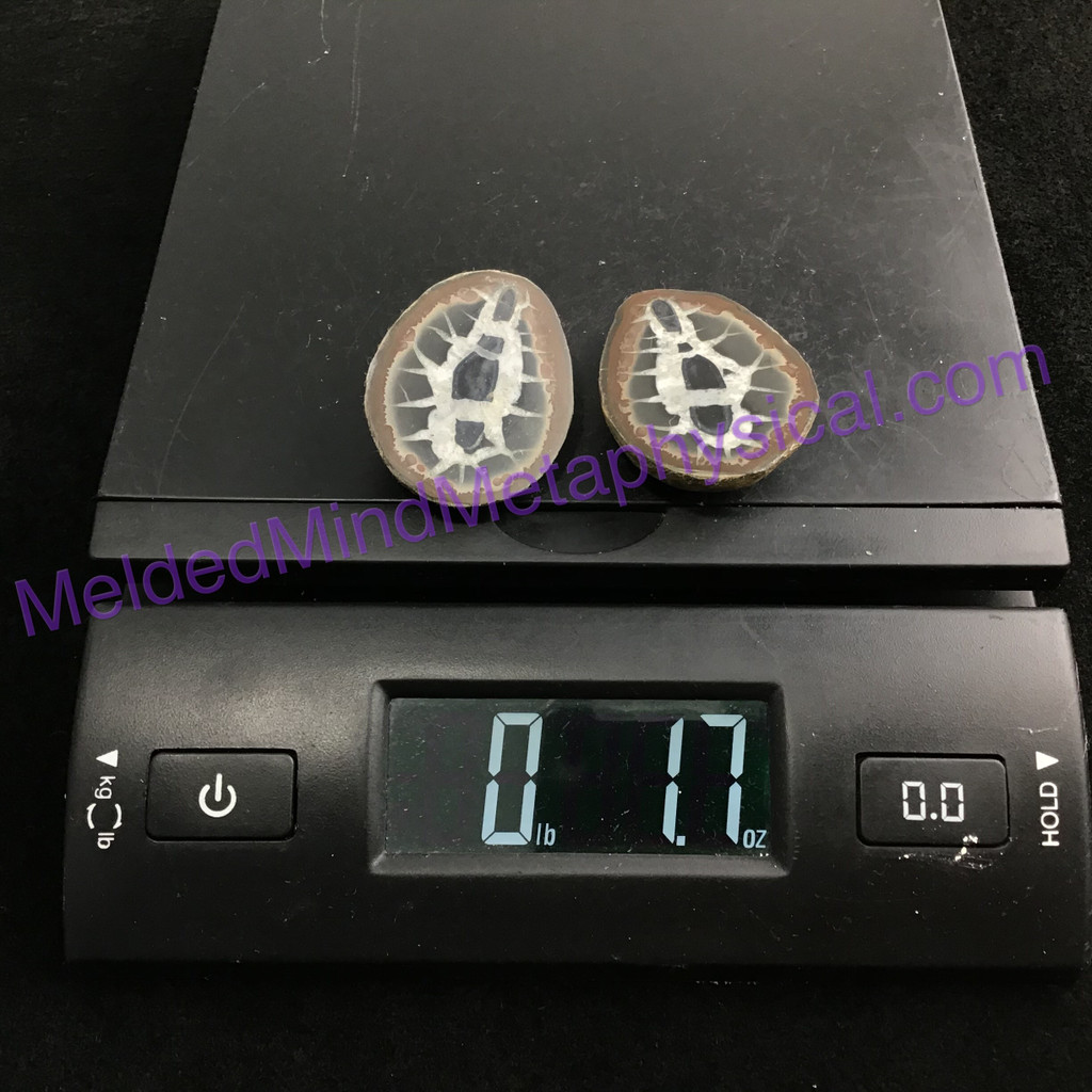 MeldedMind082 Sliced Septarian Nodule 45mm Morocco Specimen Mineral Decor