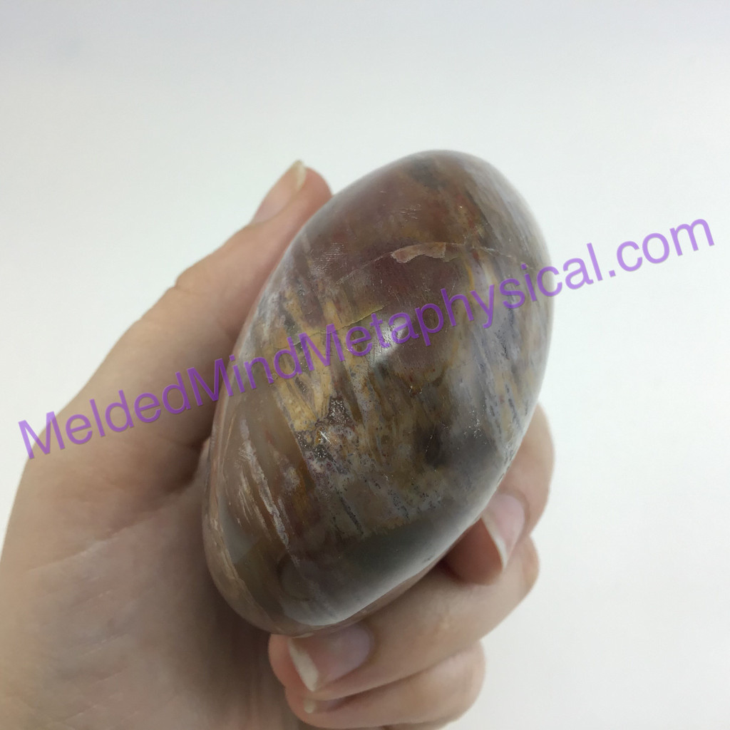 MeldedMind160 Petrified Wood Massage Stone 106mm Massage Therapy Fossil Stone Ho