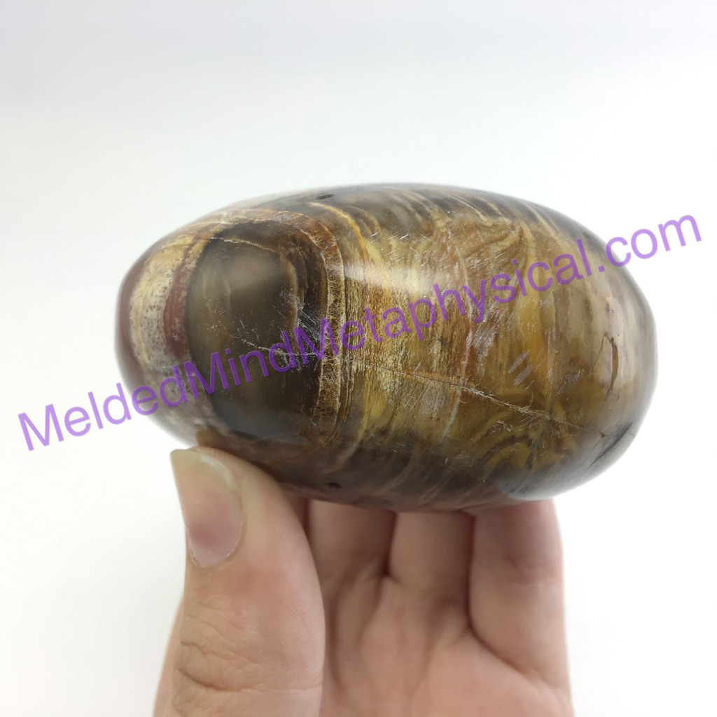 MeldedMind162 Petrified Wood Massage Stone 82mm Massage Therapy Fossil Stone Hol