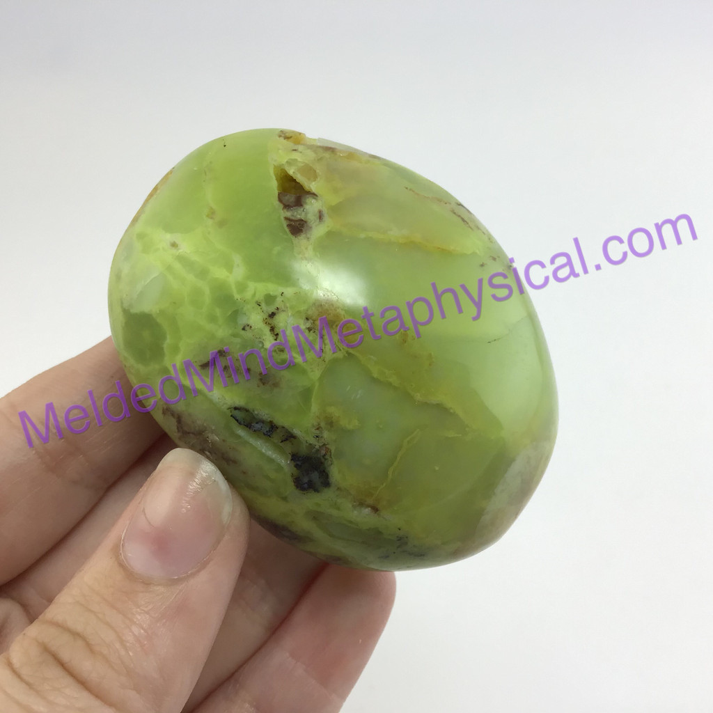 MeldedMind170 Green African Opal Pistachio Palm Smooth Stone 57mm Madagascar