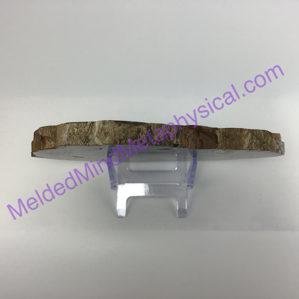 MeldedMind478 Petrified Wood Slab Display 165mm Fossil Crystal