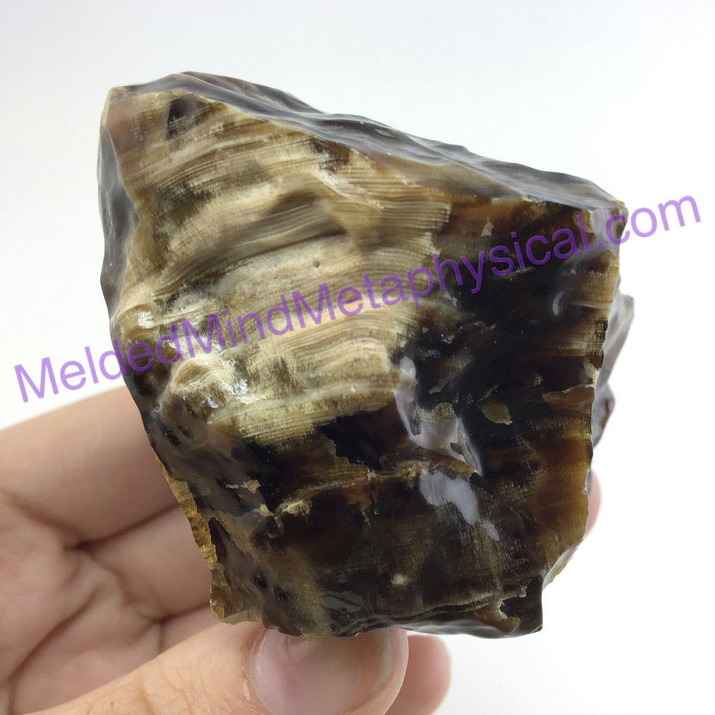 MeldedMind Chocolate Calcite Specimen 2.92in Pakistan Natural Brown Crystal 103