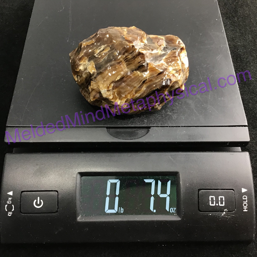 MeldedMind Chocolate Calcite Specimen 3.07in Pakistan Natural Brown Crystal 105