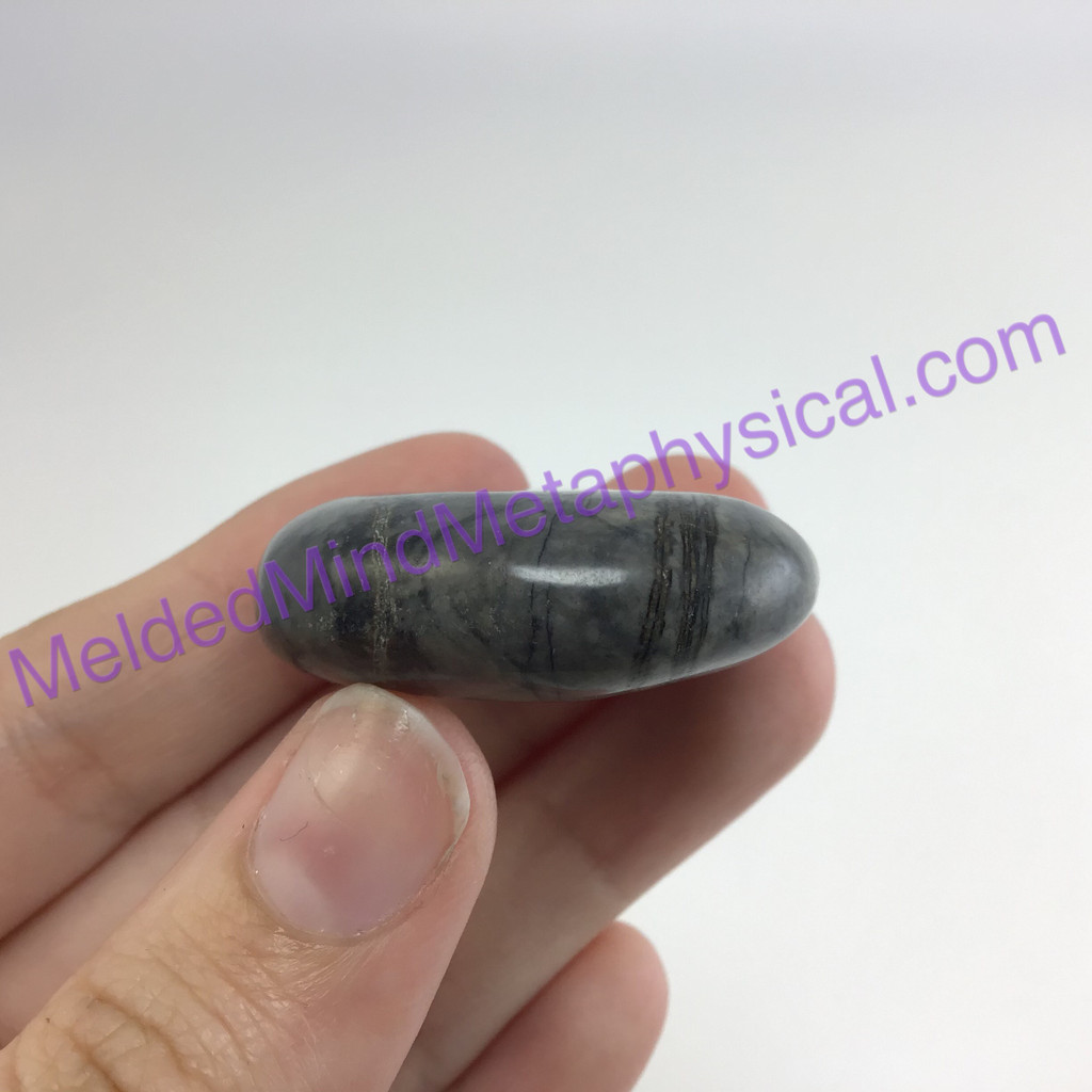 MeldedMind126 Spider Web Picasso Jasper Palm Stone Smooth Worry Healing Energy