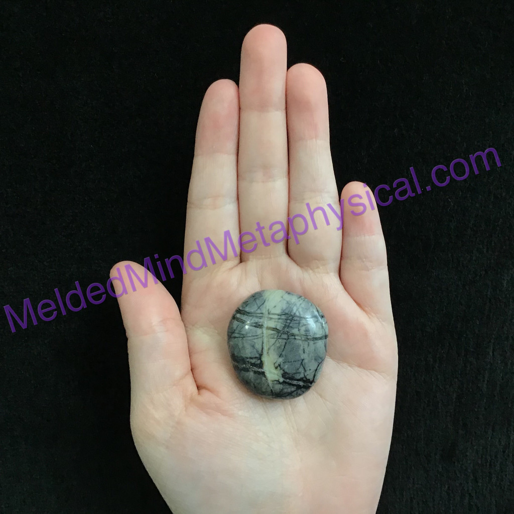 MeldedMind126 Spider Web Picasso Jasper Palm Stone Smooth Worry Healing Energy