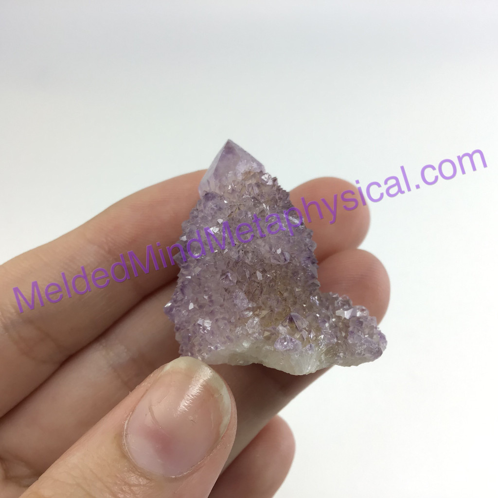 MeldedMind203 Cactus Amethyst Crystal 31mm S. Africa Spirit Quartz