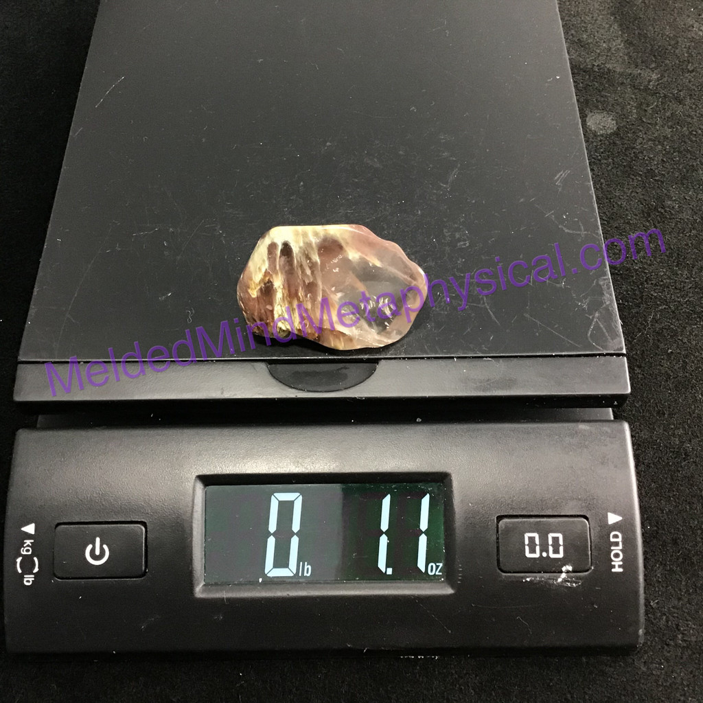 MeldedMind245 Amphibole Quartz 45mm Angel Phantom Crystal Specimen