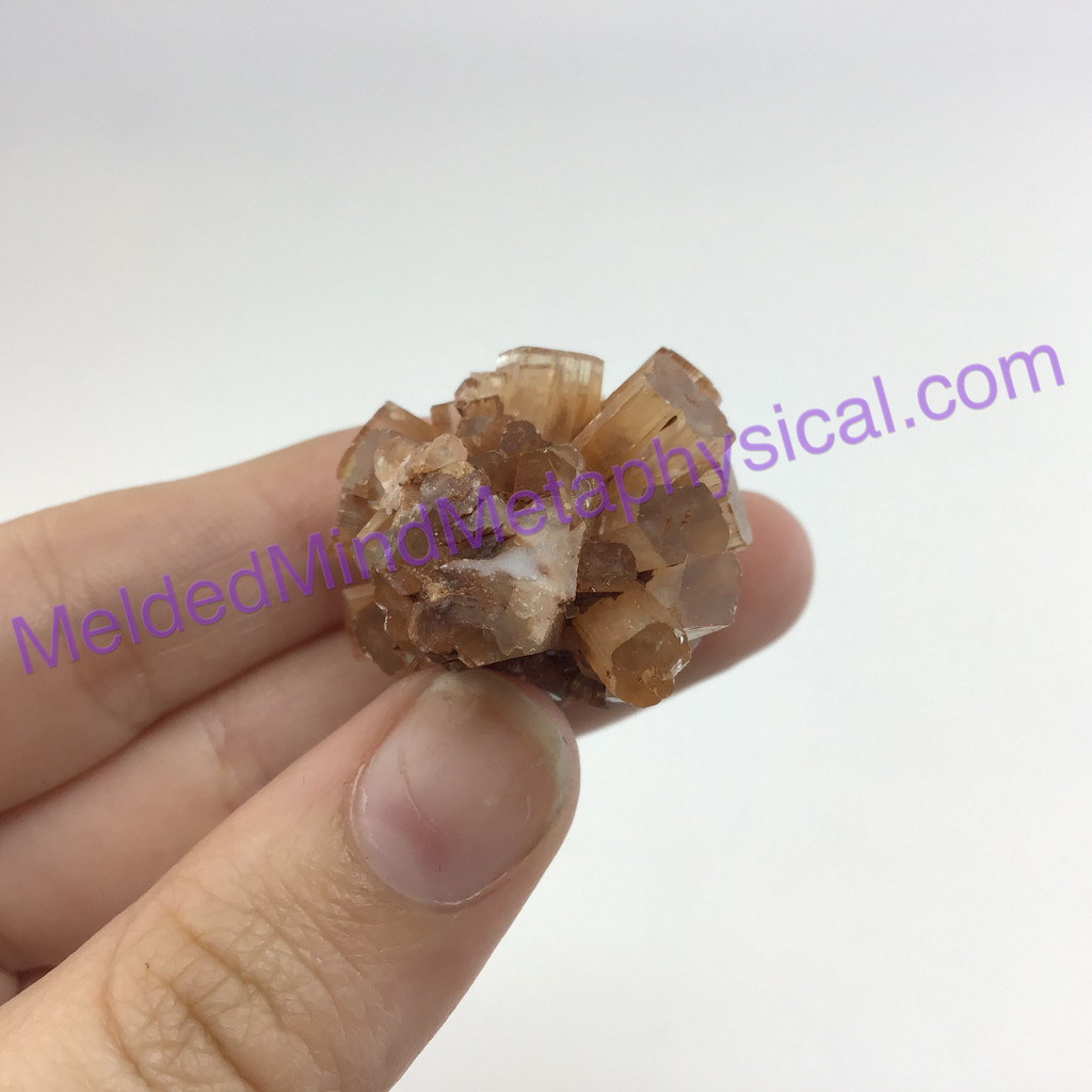 MeldedMind Brown Aragonite Specimen 1.28in Natural Crystal Sefrou, Morocco 195