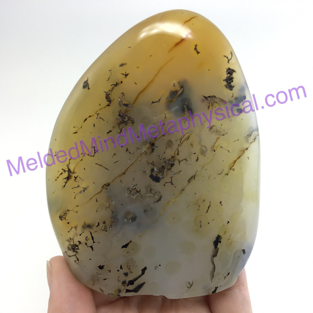 MeldedMind Polished Dendritic Agate 3.75in Natural Inclusions Crystal 149