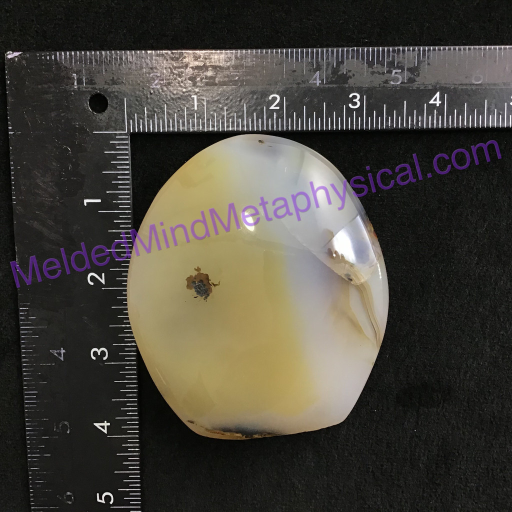 MeldedMind Polished Dendritic Agate 3.72in Natural Inclusions Crystal 148