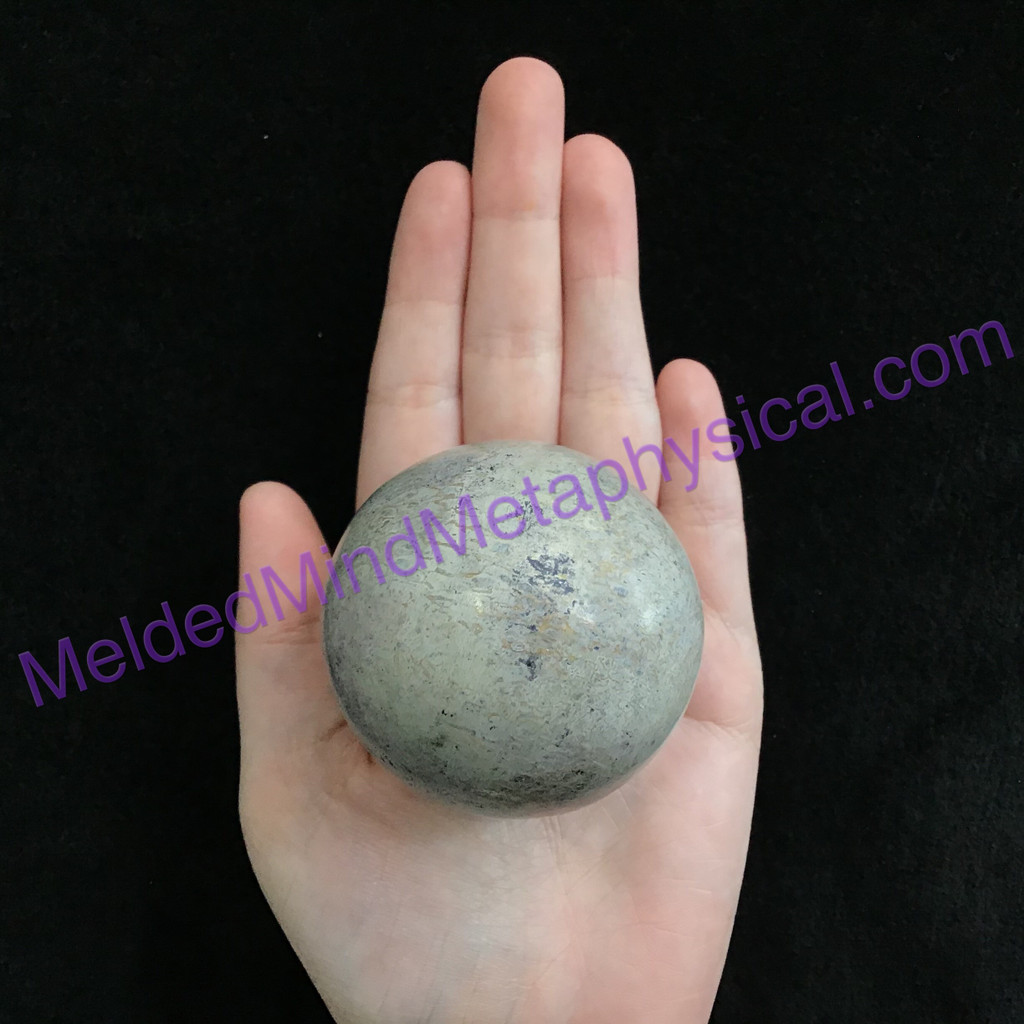 MeldedMind048 Madagascar Polished Dino Bone Sphere 56mm Prehistoric Dinosaur