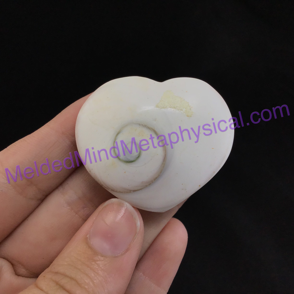 MeldedMind113 Polished Fossil Shell Stone Heart 32mm Jewelry Specimen