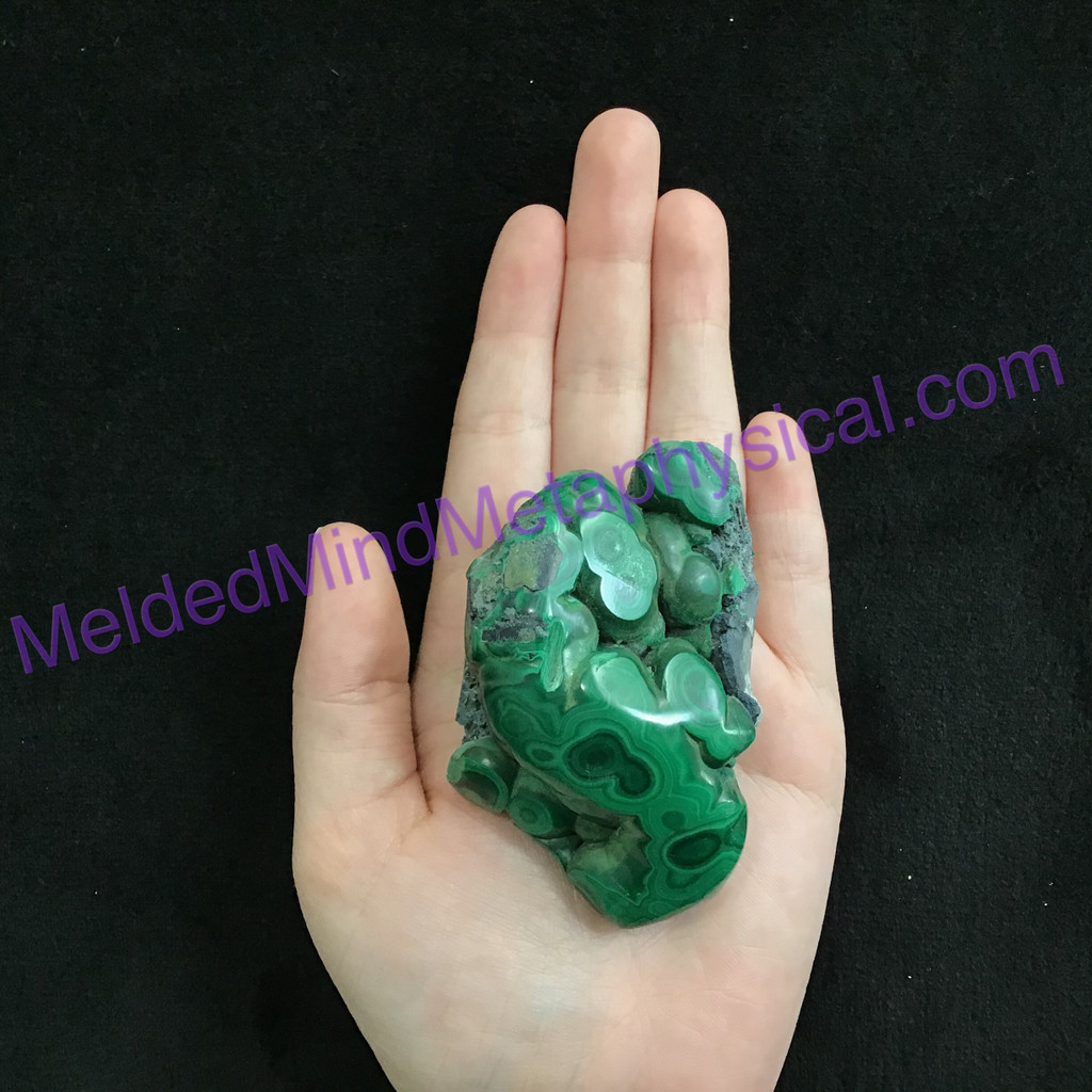 MeldedMind Polished Malachite Specimen Congo 76mm Crystal Mineral Metaphysical 1