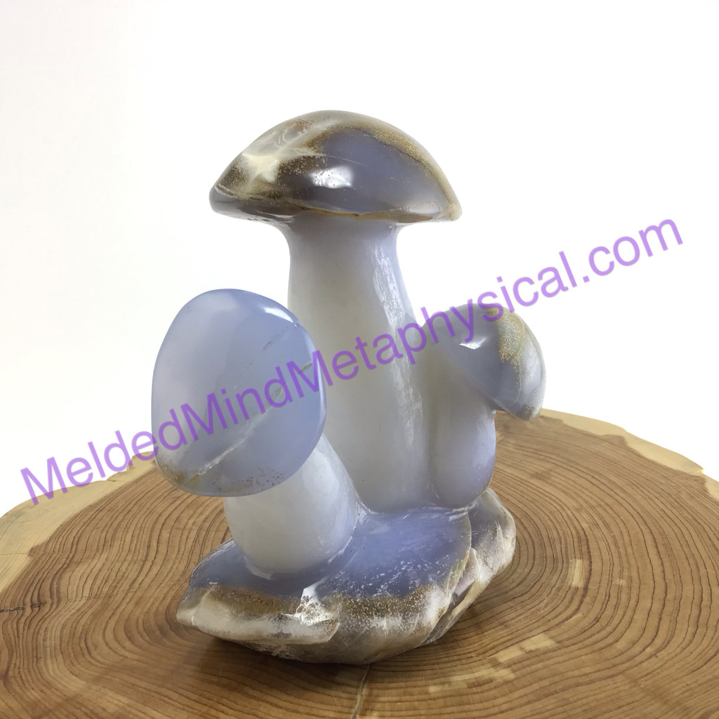 MeldedMind 4" Blue Chalcedony Mushroom 3 Stalk Toadstool Blue Crystal 162