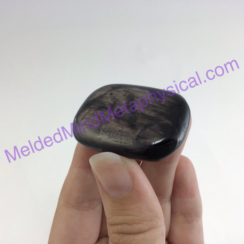 MeldedMind Hypersthene Palm Stone 1.56in 39.7mm Smooth Worry Metaphysical 180