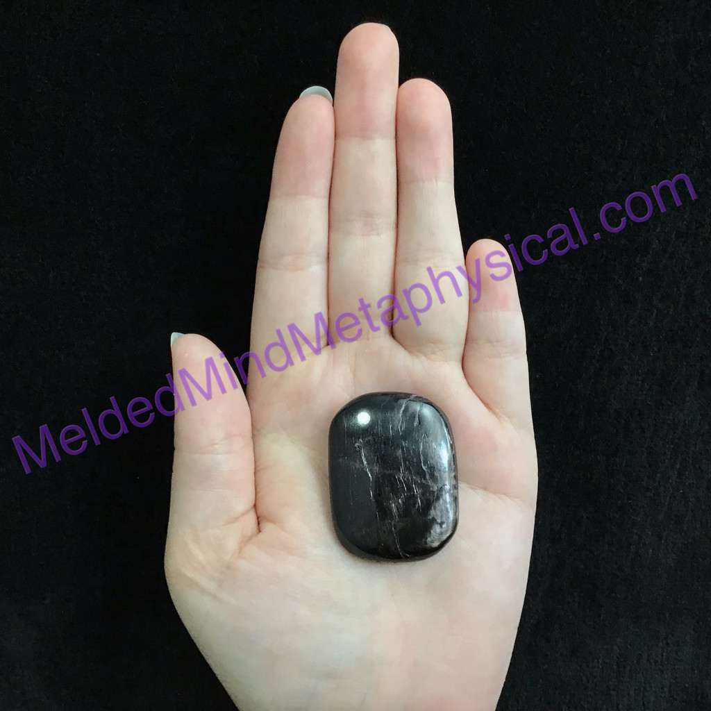MeldedMind Hypersthene Palm Stone 1.56in 39.7mm Smooth Worry Metaphysical 180