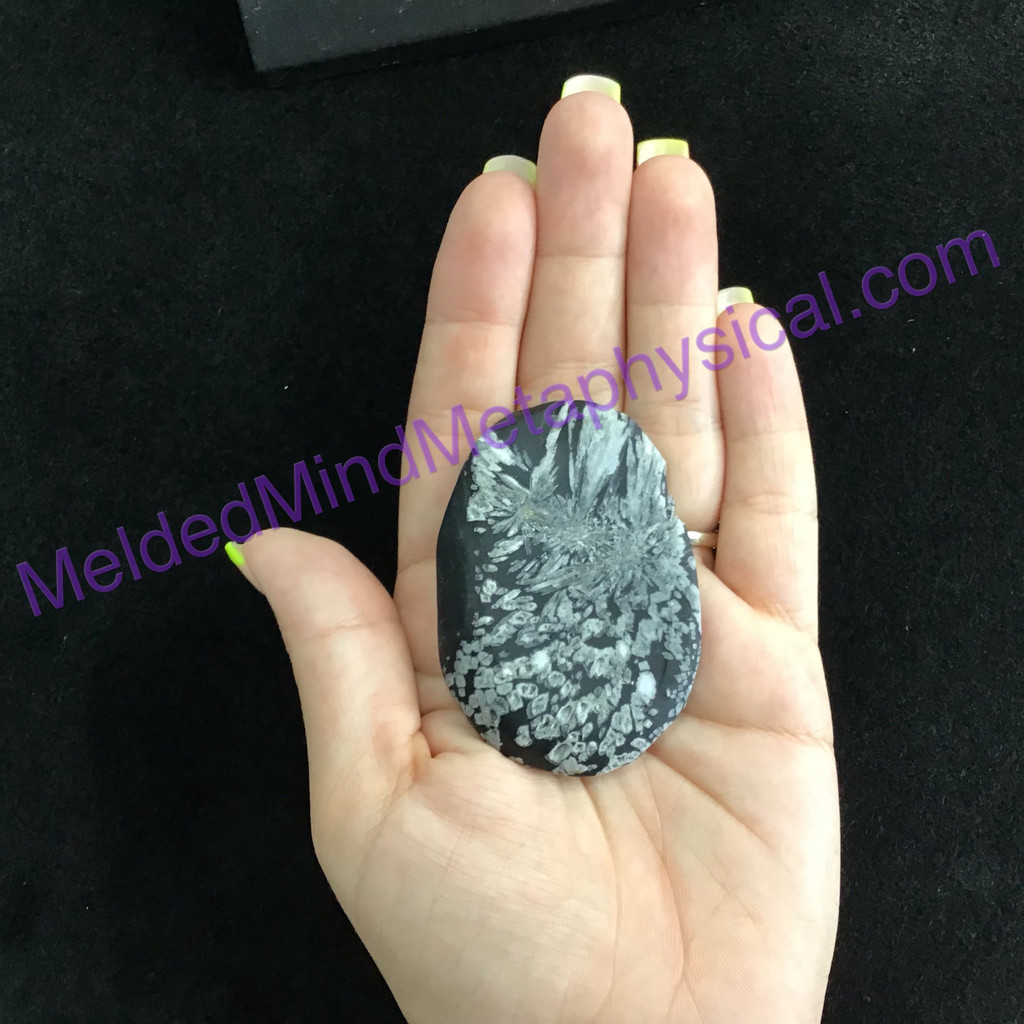 MeldedMind Chrysanthemum Palm Stone 2.64in 67mm Worry Smooth Metaphysical 189