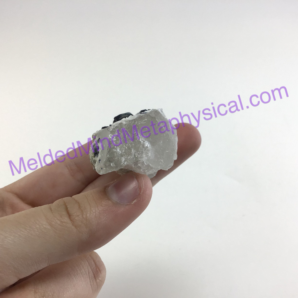 MeldedMind Black Tourmaline in Quartz Specimen 1.90in Natural Stone Crystal