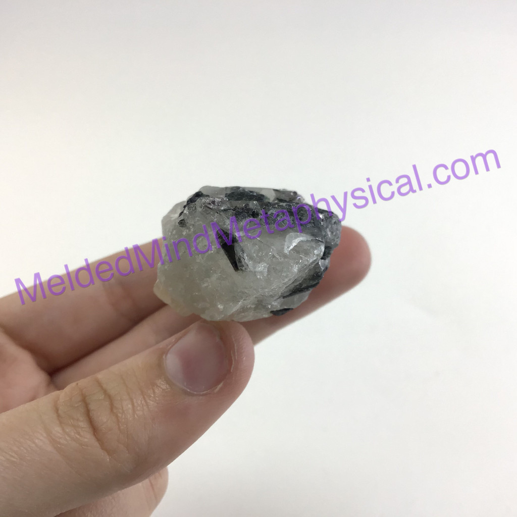MeldedMind Black Tourmaline in Quartz Specimen 2.25in Natural Stone Crystal