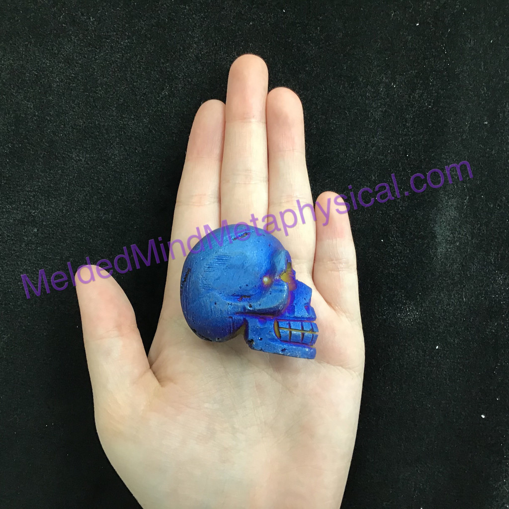 MeldedMind Titanium Coated Pyrite Skull 1.53 in 39mm Display Healing 207