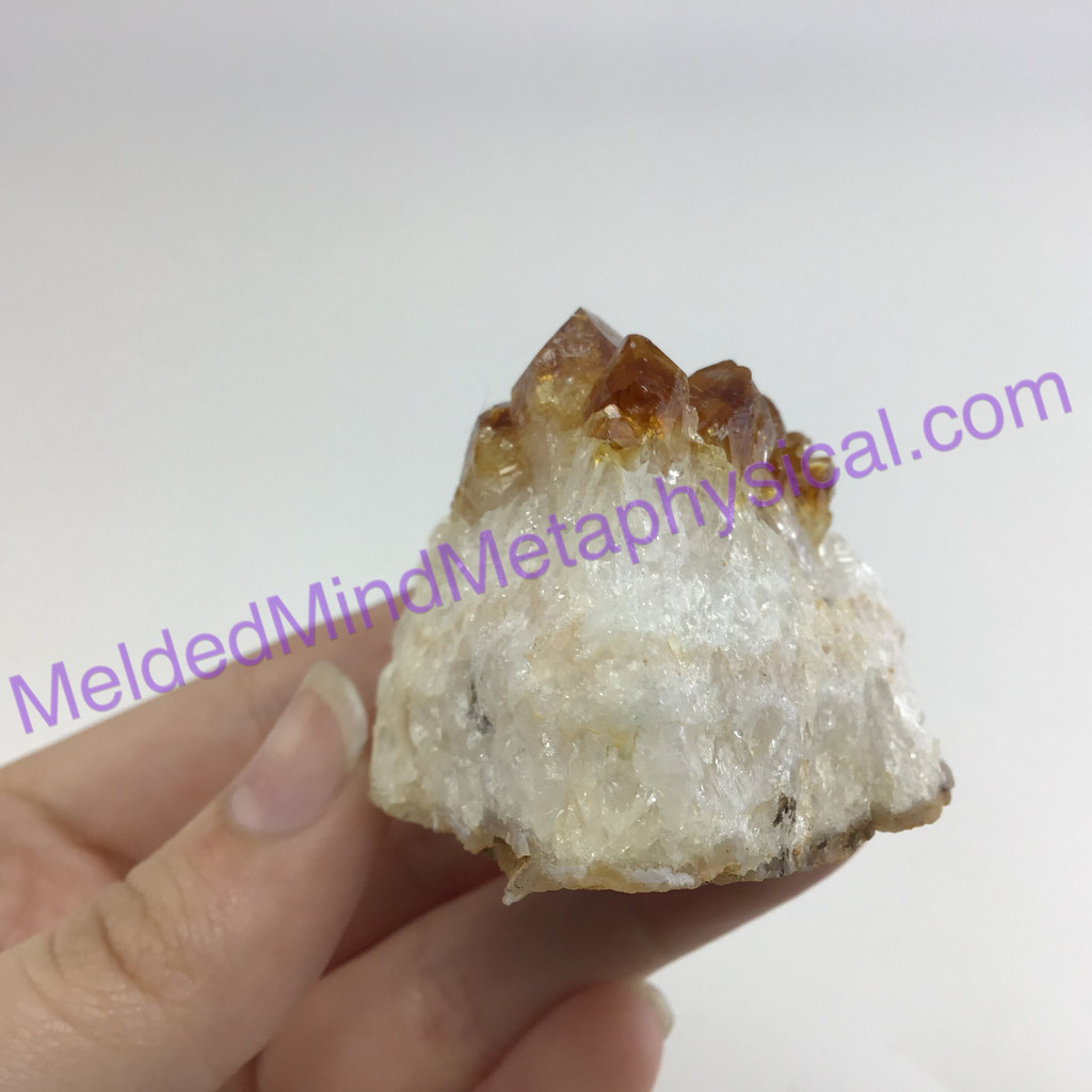 MeldedMind Natural Citrine Crystal Cluster 2.46in 62mm Manifest Abundance and Pr