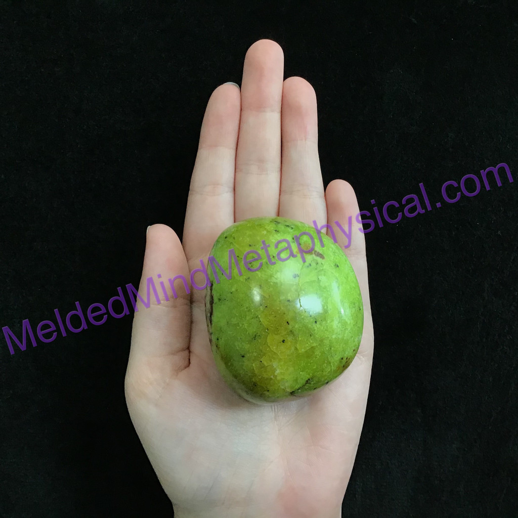 MeldedMind Green African Opal Pistachio Palm Stone 2.42in 61mm Madagascar 470