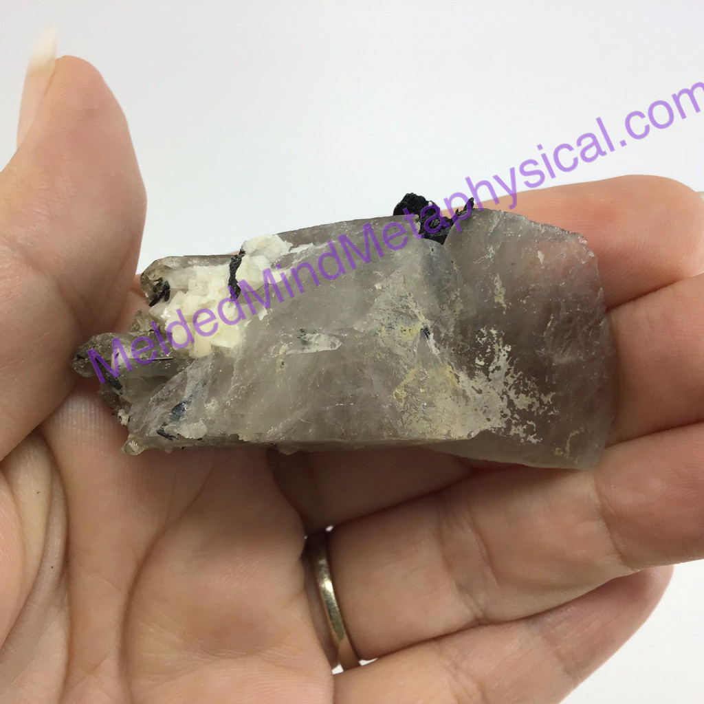 MeldedMind Natural Smoky Quartz Crystal w Aegirine 2.59in 65mm Zomba, Malawi 270