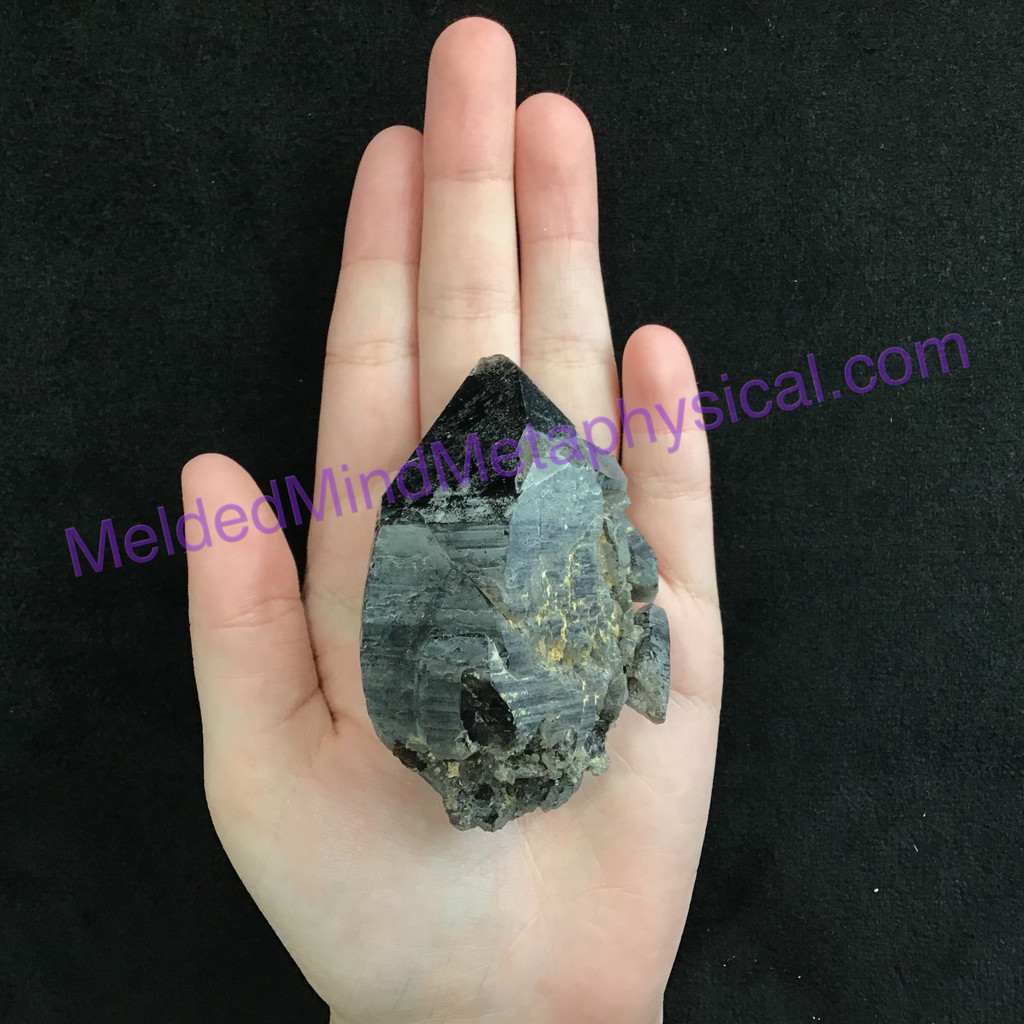 MeldedMind Elestral Black Quartz Crystal Specimen 2.91in 73mm Natural Rough 240