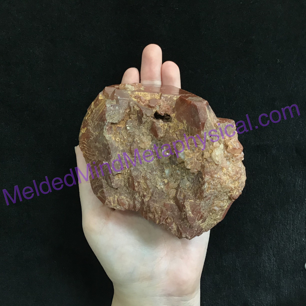 MeldedMind Red Quartz Specimen 4in 113mm Skeletal Elestial Cluster 039