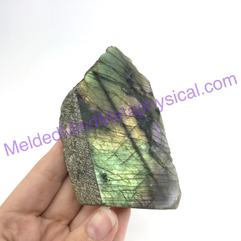 MeldedMind Double Flash Labradorite Specimen 3.81in 97mm One Side Polished 194