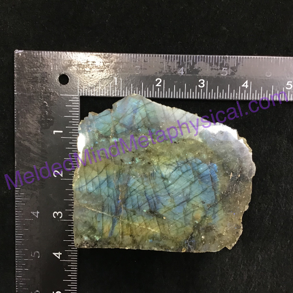 MeldedMind Double Flash Labradorite Specimen 4.05in 103mm One Side Polished 206