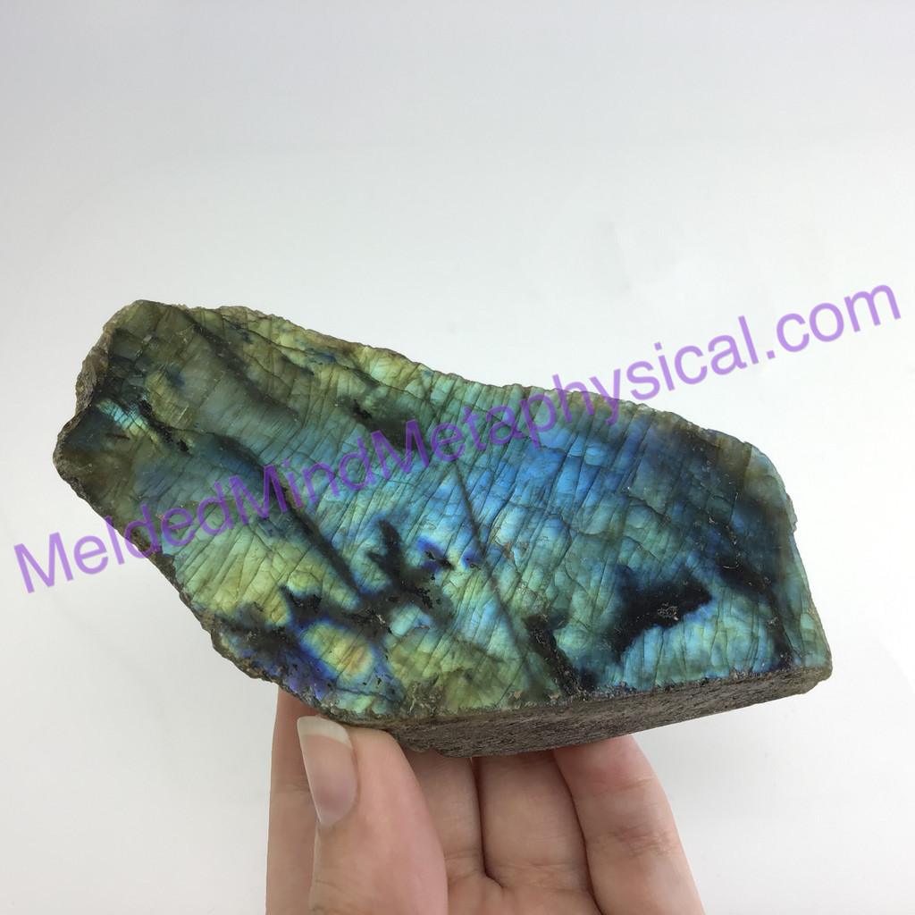 MeldedMind Double Flash Labradorite Specimen 4.29in 109mm One Side Polished 195