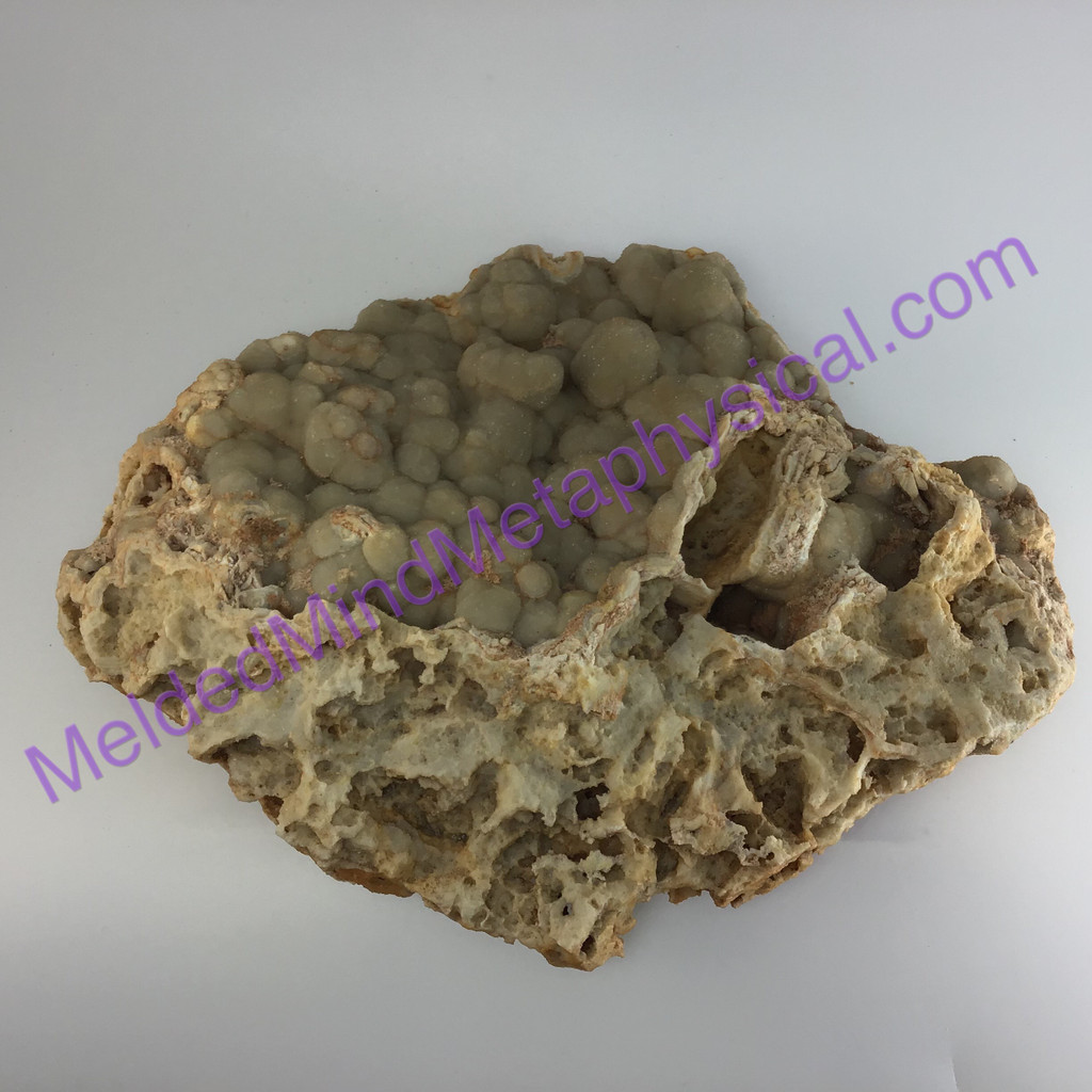 MeldedMind Druzy Quartz on Fossil Coral 12in 304mm Panhandle Florida Natural
