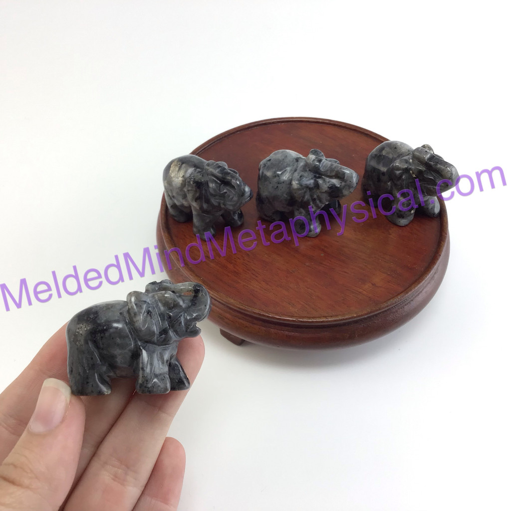 MeldedMind Black Moonstone Elephant 1.42in-1.53in 36mm-39mm Blue Pearl Larvikite