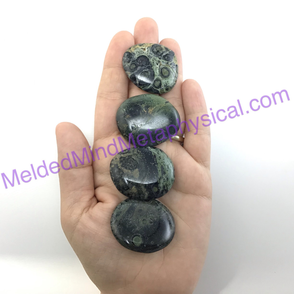 MeldedMind One (1) Swirly Kambaba Jasper Palm Stone 1.57in-1.61in Crocodile 075