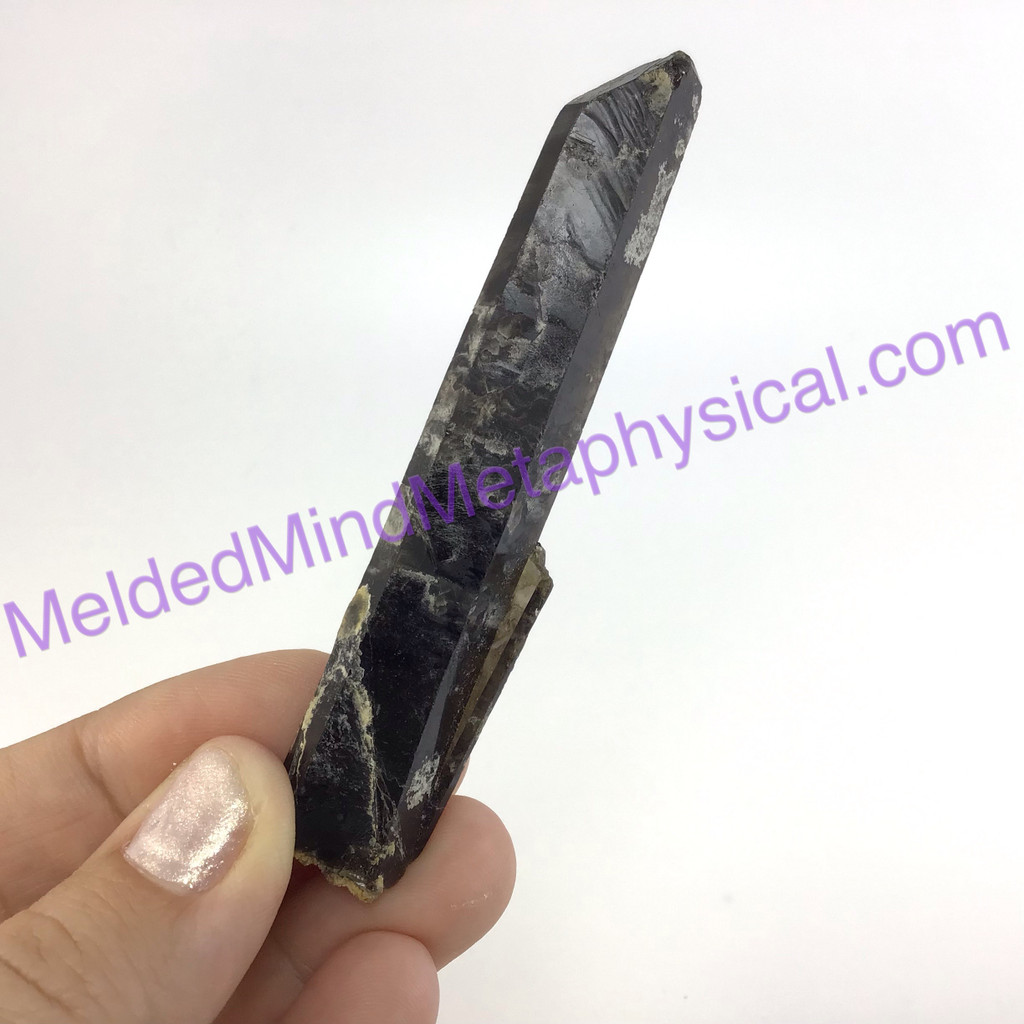 MeldedMind Blk Elestial Skeletal Quartz Wand 3.77in Phantom Natural Point 723