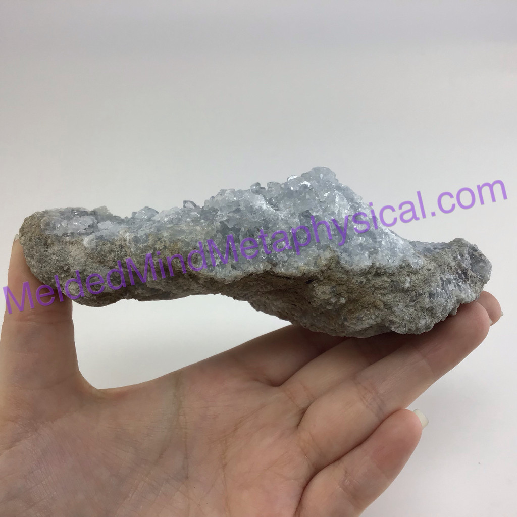 MeldedMind Raw Celestite Cluster Specimen 5.56in Natural Blue Crystal 503