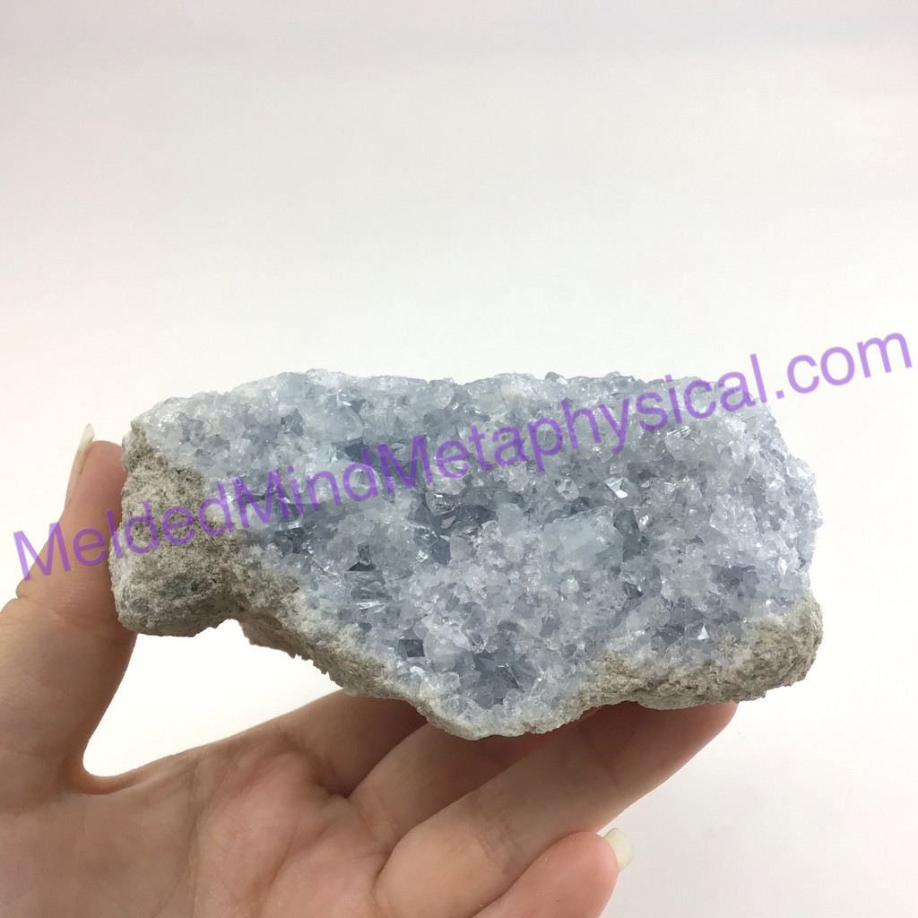 MeldedMind Raw Celestite Cluster Specimen 4.48in Natural Blue Crystal 509