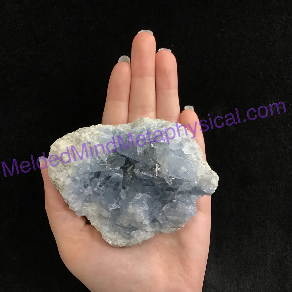 MeldedMind Raw Celestite Cluster Specimen 3.65in Natural Blue Crystal 504