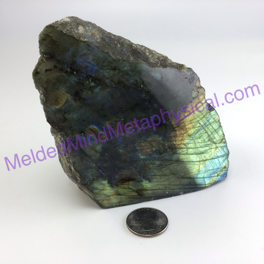 MeldedMind Single Flash Labradorite Specimen Spiritual One Side Polished 172