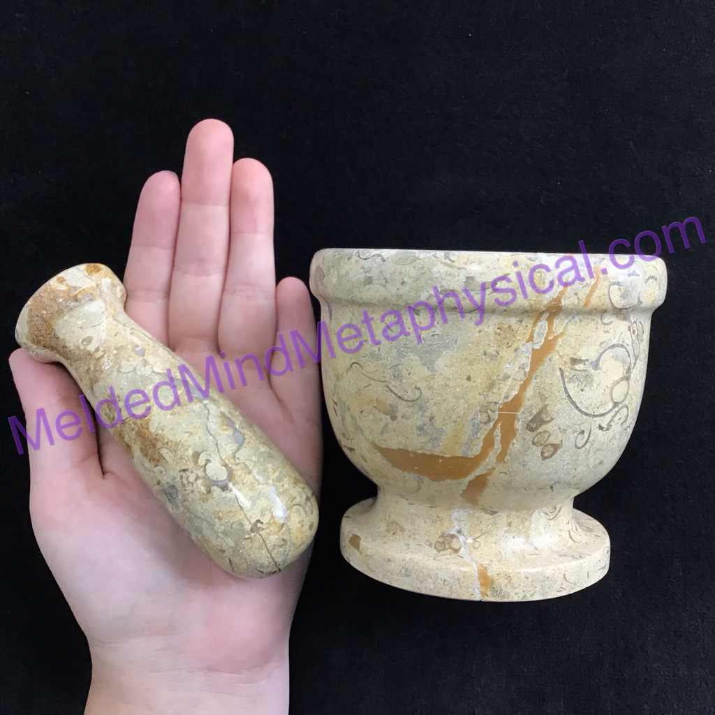 MeldedMind 4in Crinoid Fossil Mortar & Pestle Herb Grinding Holistic Cooking 131