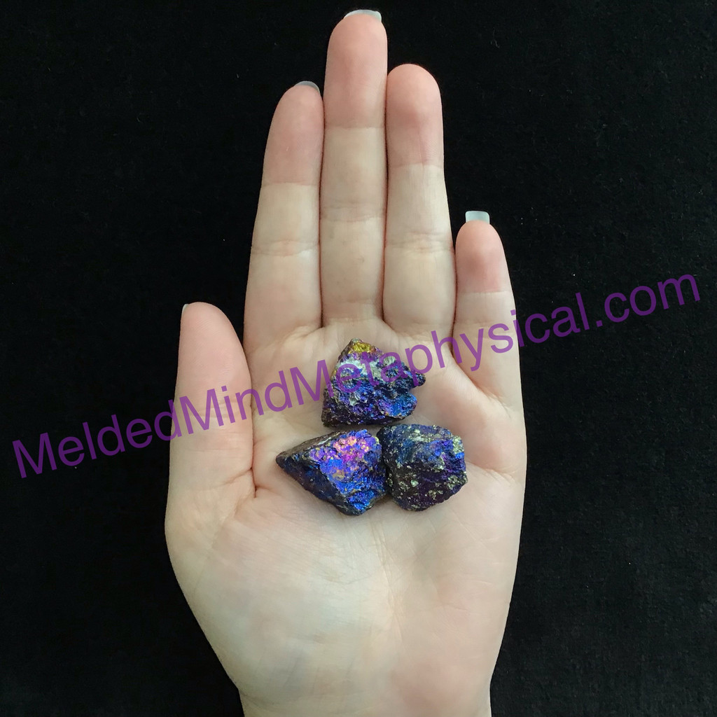 MeldedMind Set of 3 XS Rainbow Chalcopyrite Specimen ~22mm Mineral Power 186