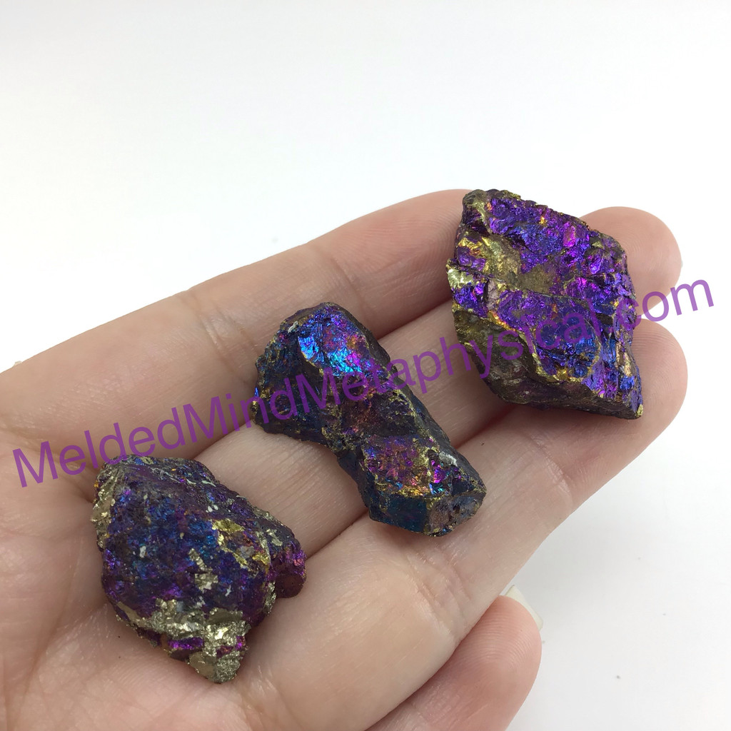 MeldedMind Set of 3 XS Rainbow Chalcopyrite Specimen ~31mm Mineral Power 184